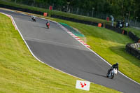 brands-hatch-photographs;brands-no-limits-trackday;cadwell-trackday-photographs;enduro-digital-images;event-digital-images;eventdigitalimages;no-limits-trackdays;peter-wileman-photography;racing-digital-images;trackday-digital-images;trackday-photos